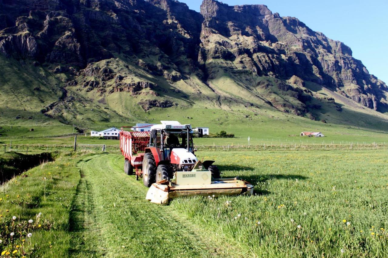 South Iceland Guesthouse Steinar Exterior foto